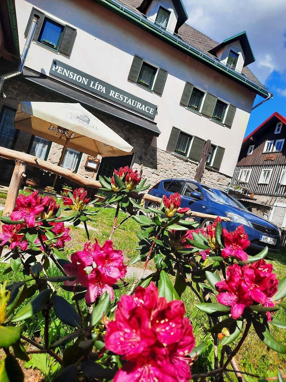 Pension Lípa - Horní Maršov - Krkonoše