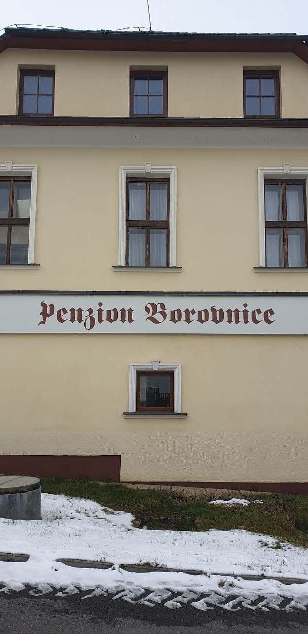 Penzion Borovnice
