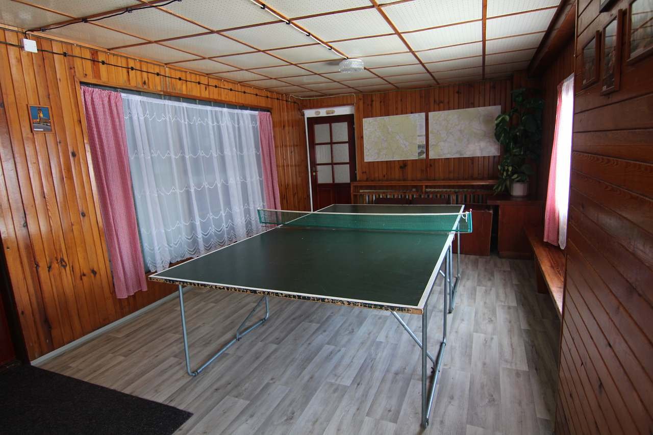 Ping-pong