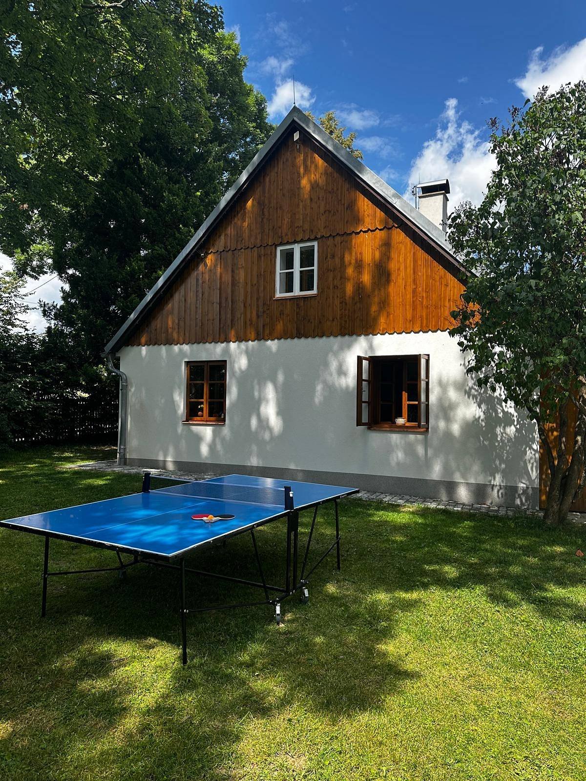 Ping pong (pro letní prázdniny)