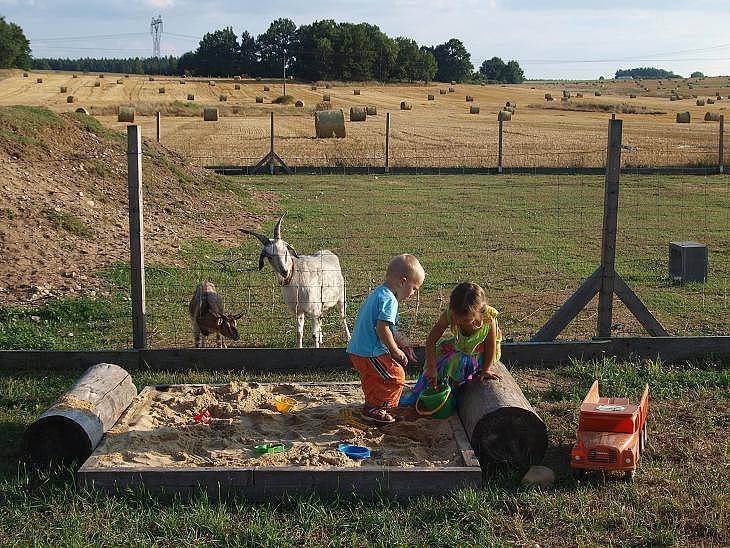 Veselá Koza - Novosedly nad Nežárkou