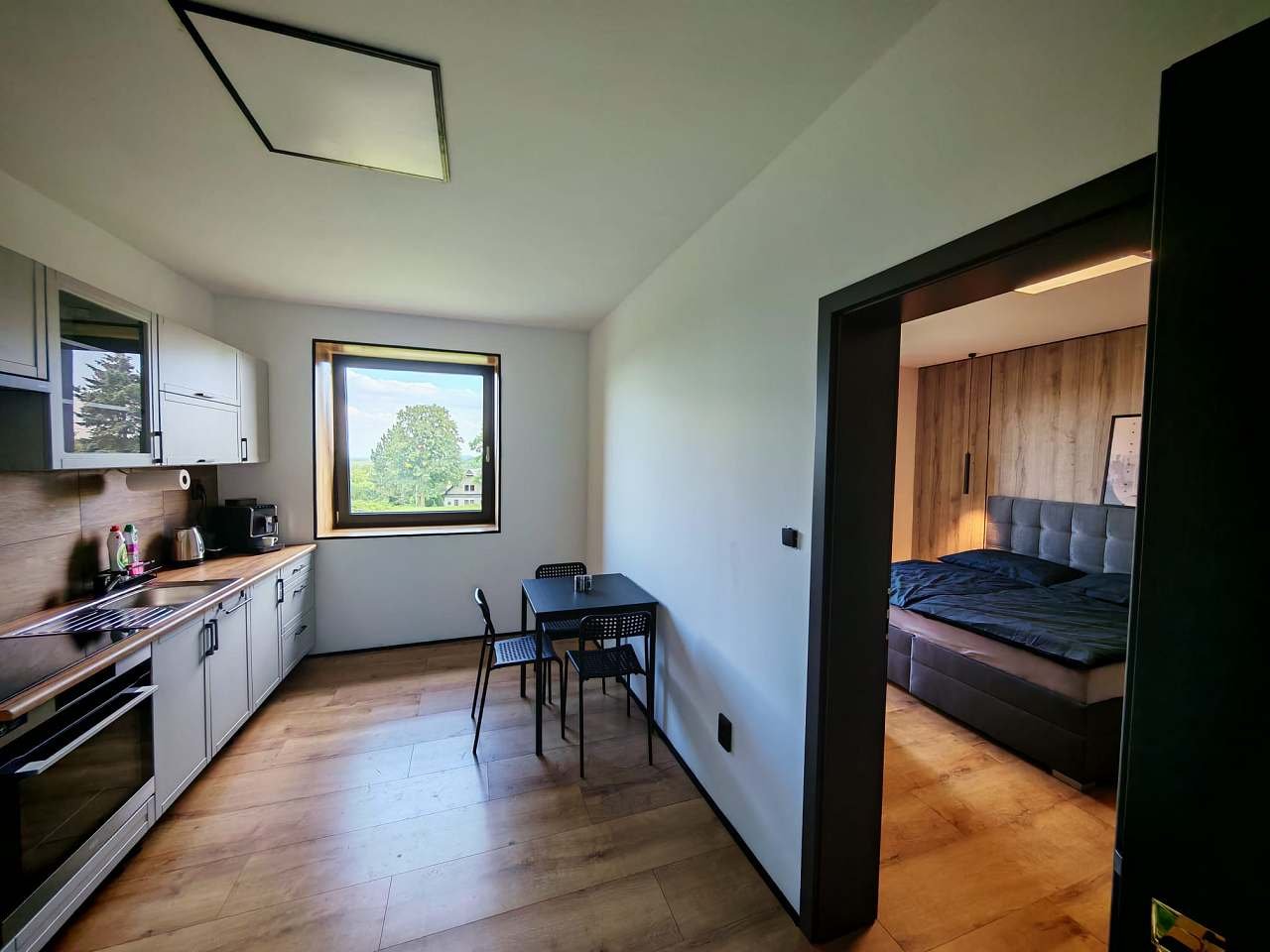 Pod Anenským vrchem - apartman č 1