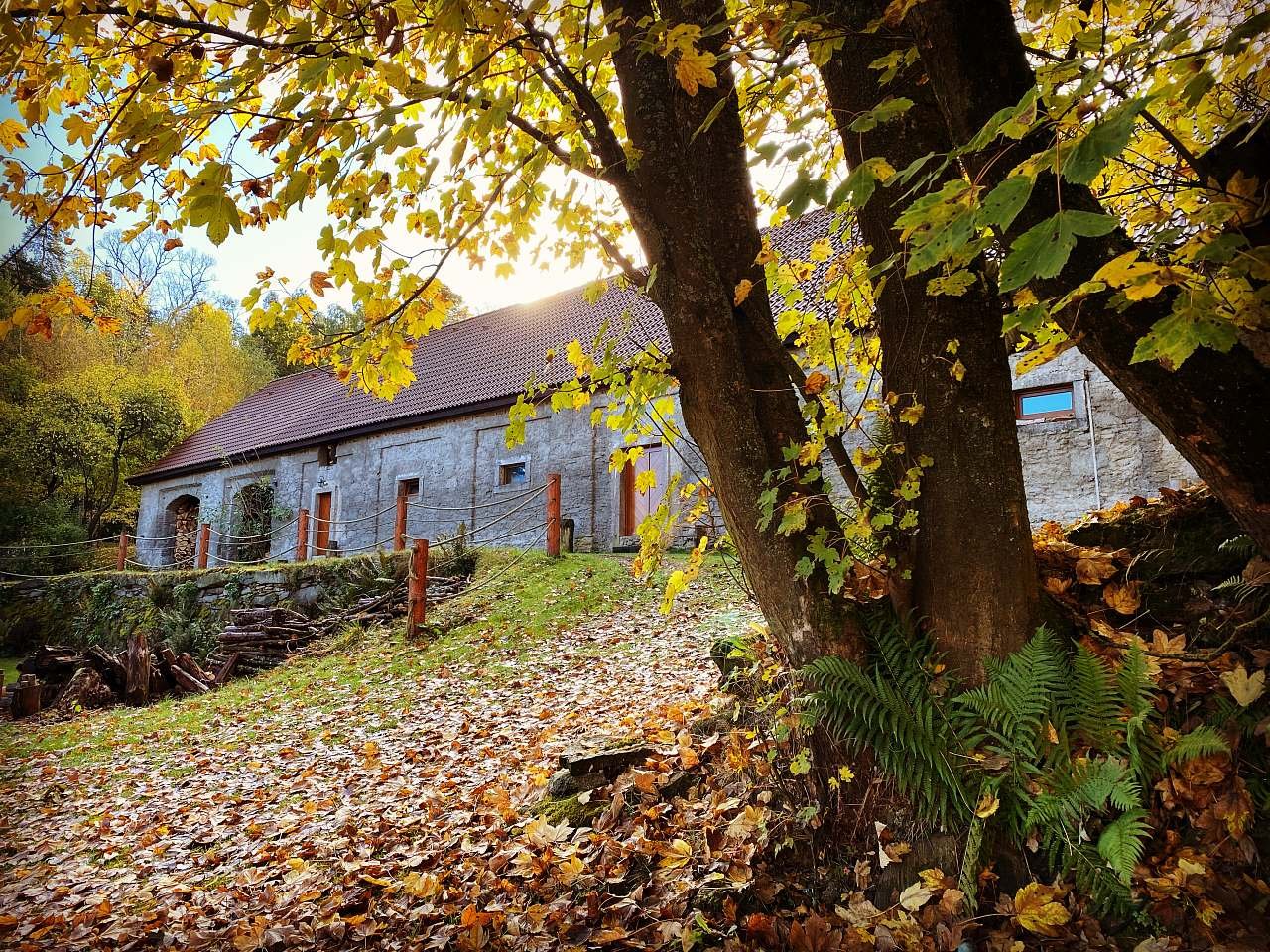 Pod šumavskou lípou - Lešišov - Šumava