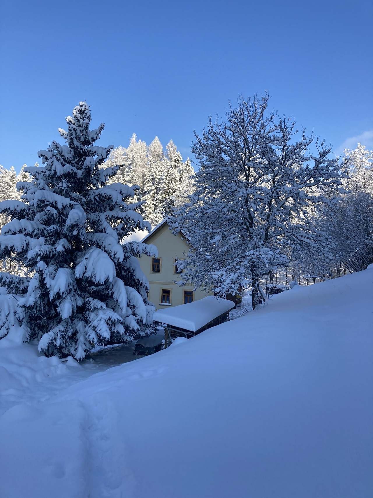 Apartmány na prenájom - Šediviny - Východné Čechy