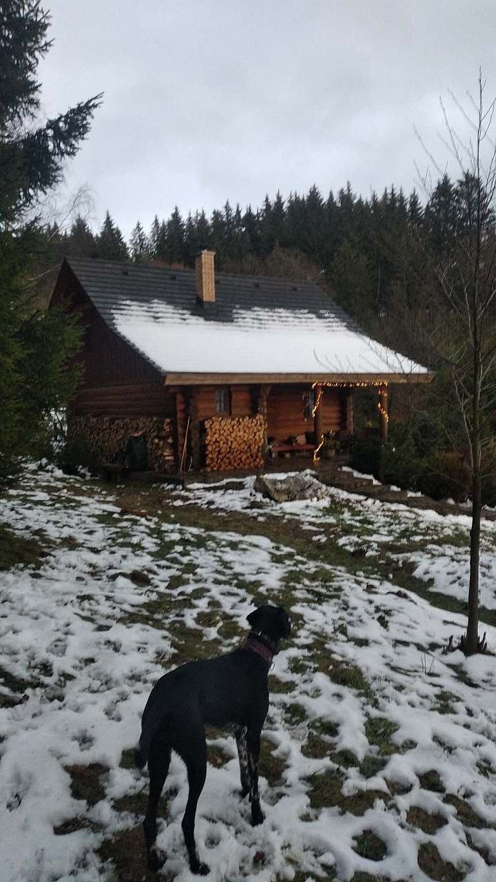 Zrub pod Lískovcem - Horní Orlice - Nízky Jeseník