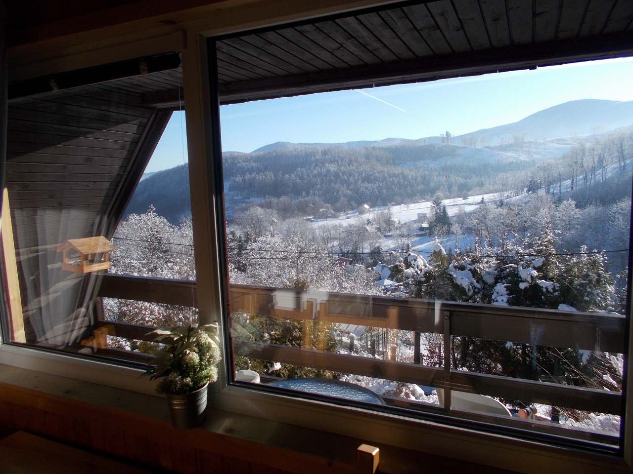 Pohled z okna v zimě
