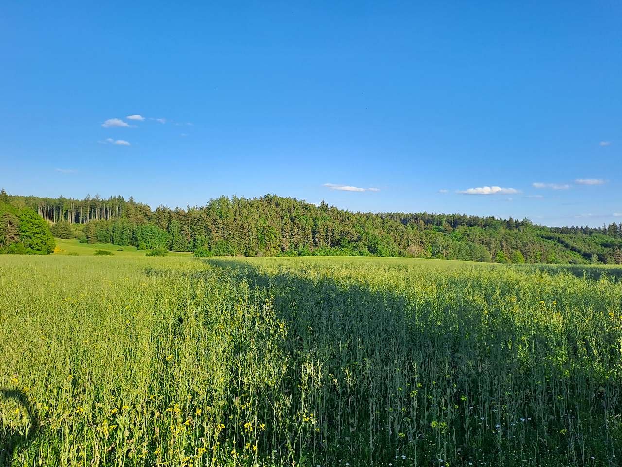 Venkovské stavení ve Výšicích - Výšice - Západné Čechy