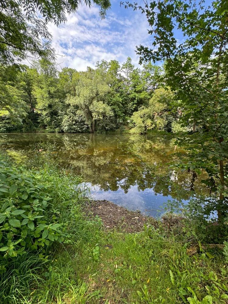 Zahrada s výhledem na Vranovský zámek - Vranov nad Dyjí