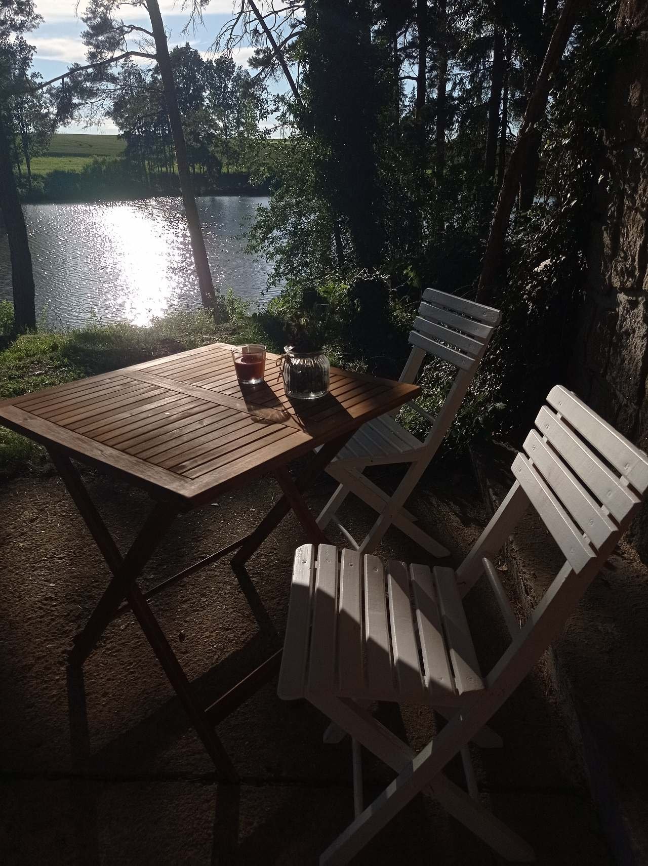 Chata u rybníka Tatarák - Dolní Vilémovice - Vysočina