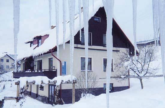 Holiday house - Horní Rokytnice