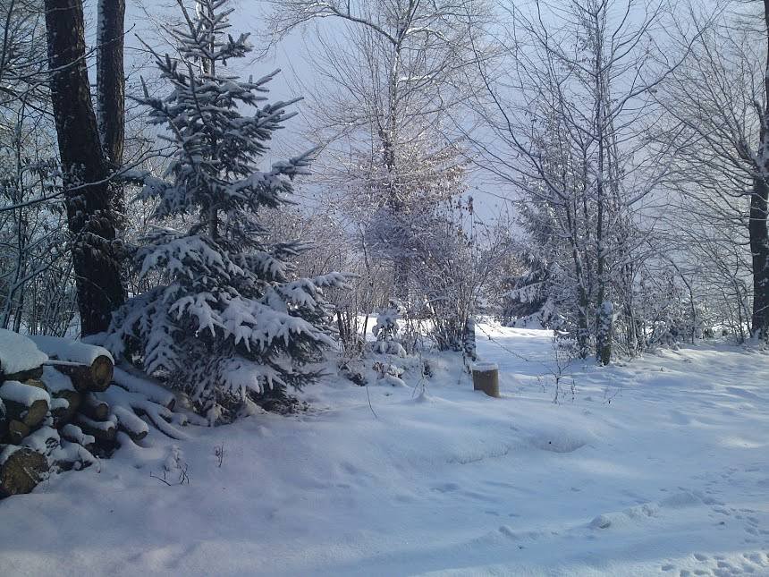 Před chatou v zimě:-))