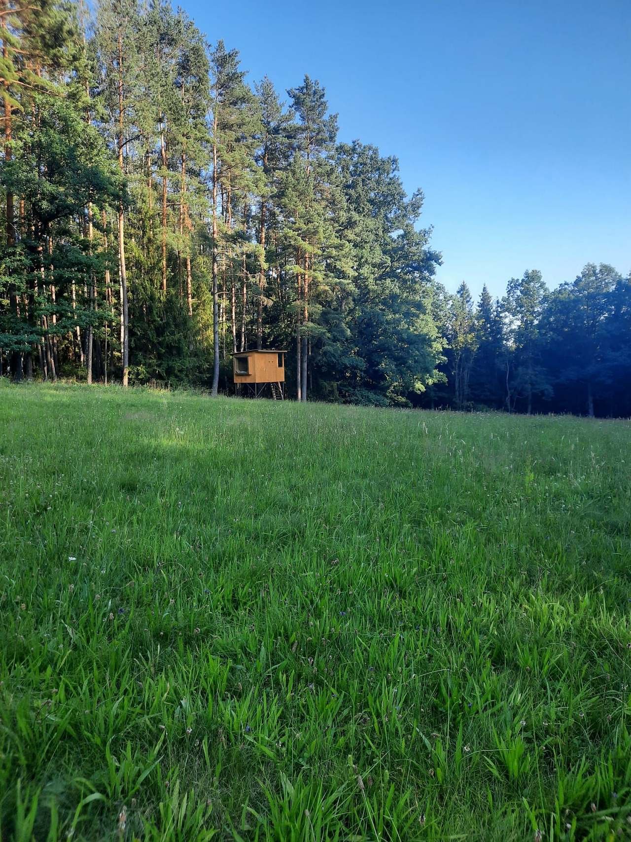 Posed mezi lesy - Hadravova Rosička - Vysočina