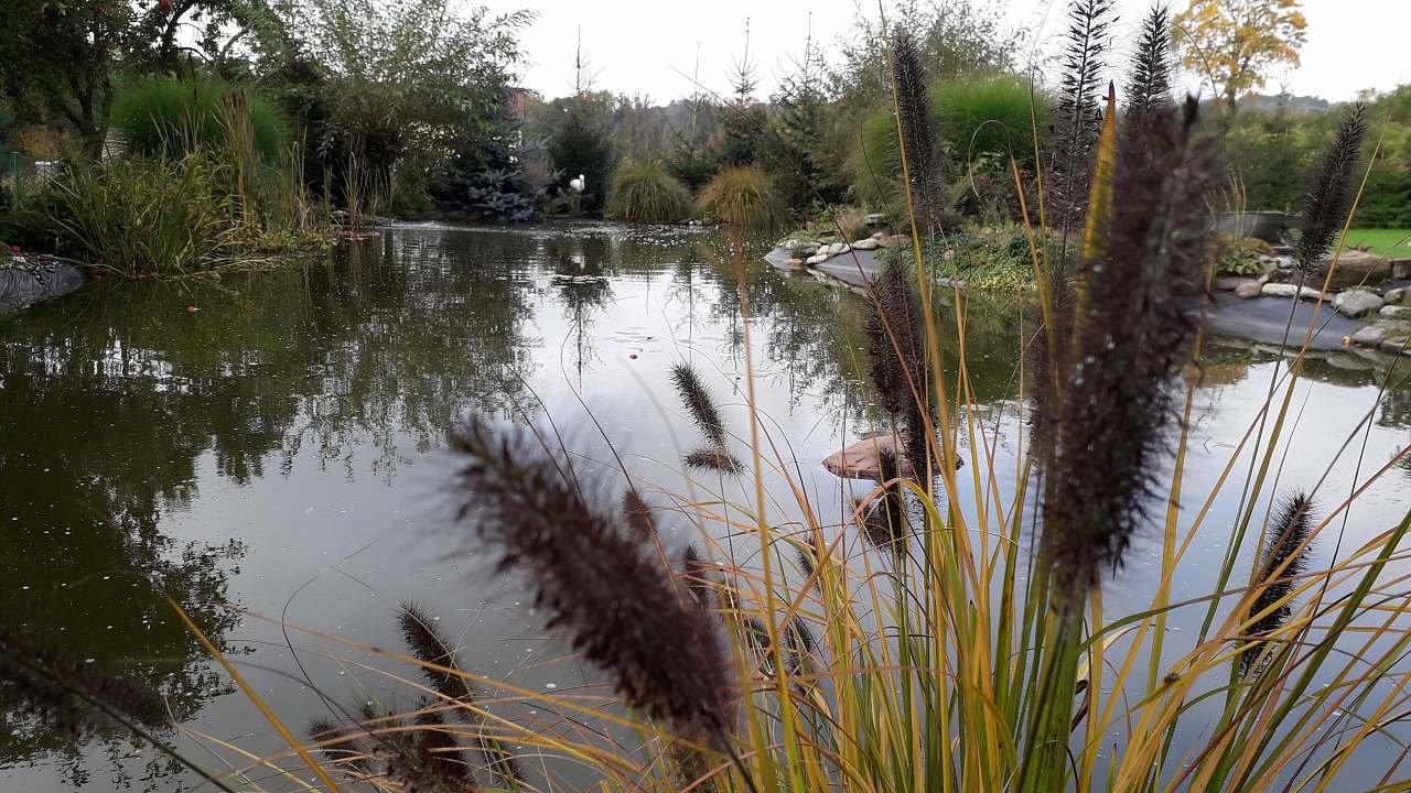 Relax chaloupka - odpočinek u rybníka