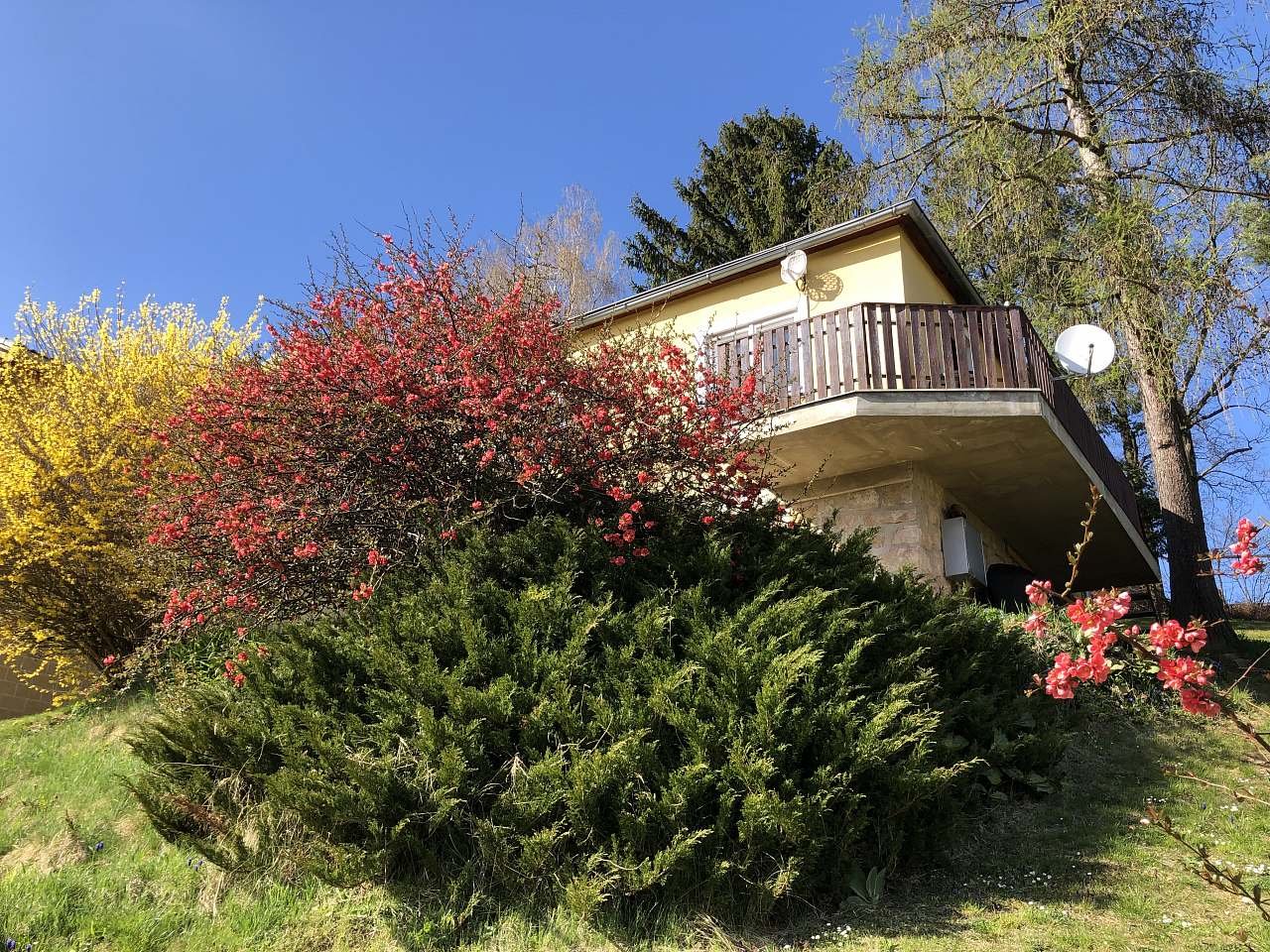 Rozkvetlé jaro na chatě