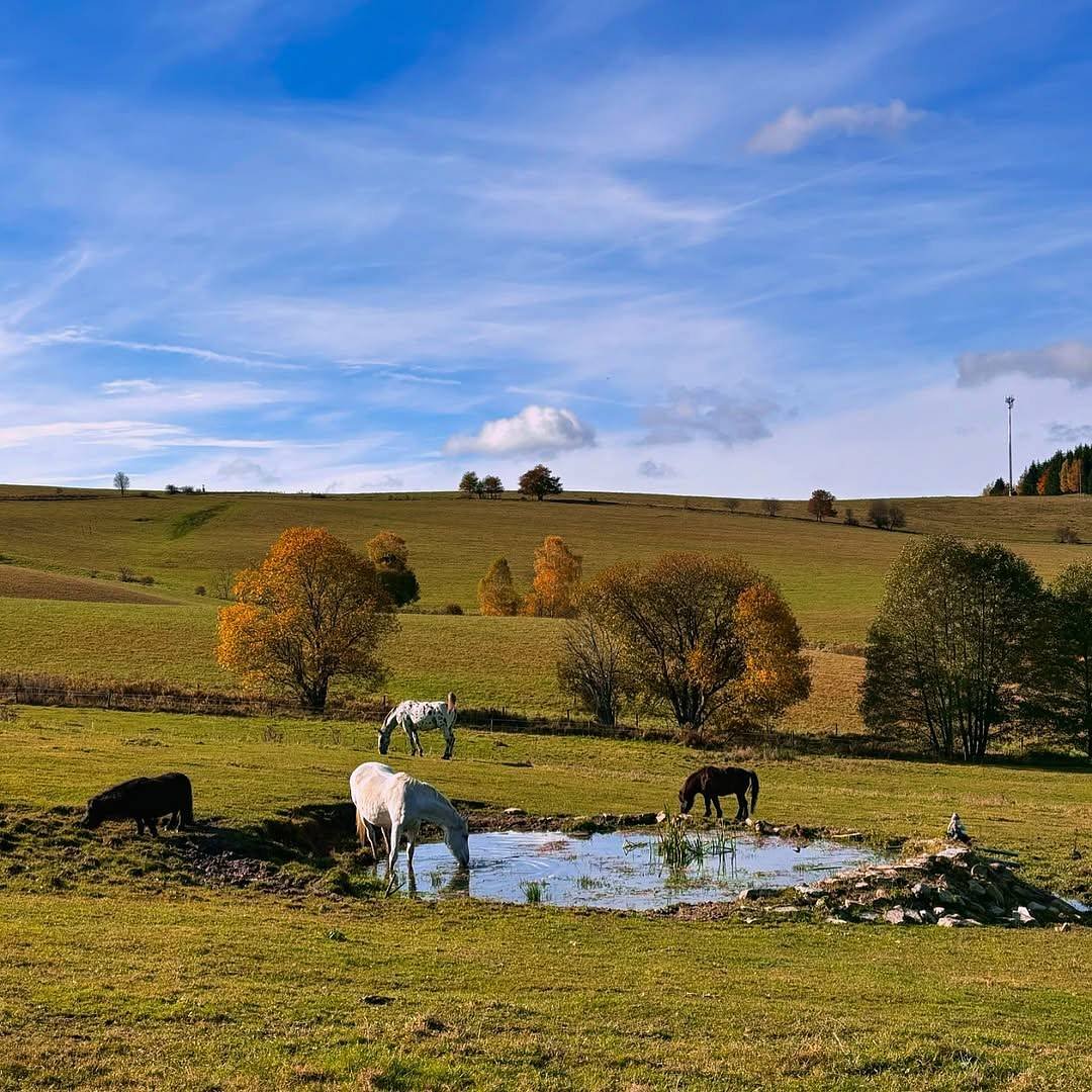 Rybníček Glamping Morava