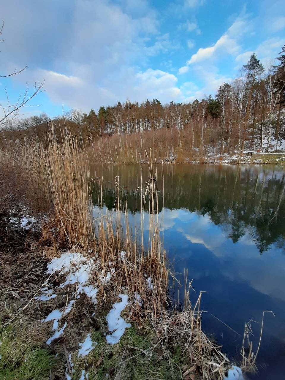 rybník Bahňák 150 m od objektu, fto 27.2.2023