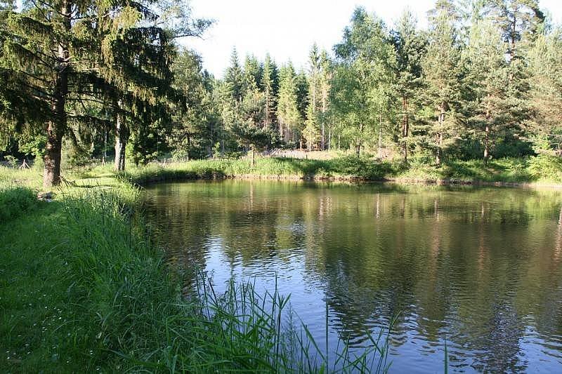 Chata v jižních čechách - Potočná - Jindřichohradecko