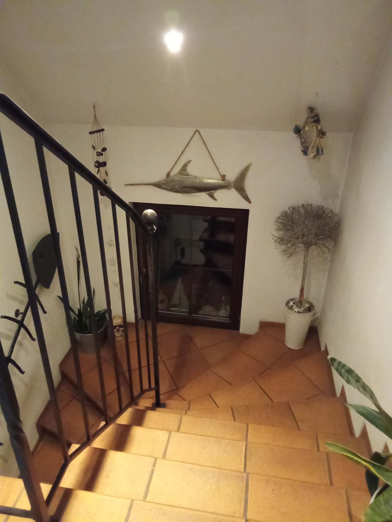 Apartmán Dominika - Sobotka - Středné Čechy