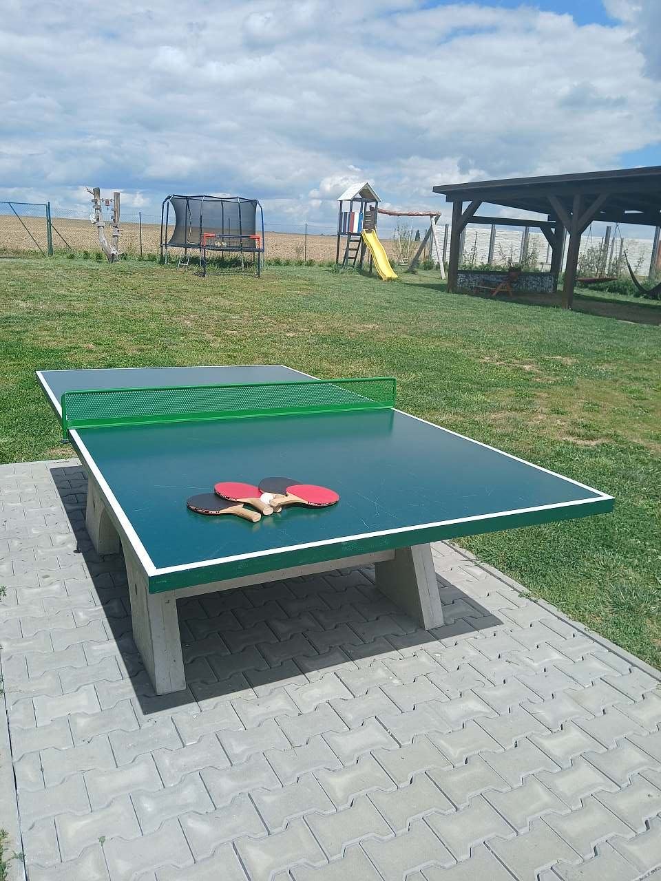 Stolní tenis
