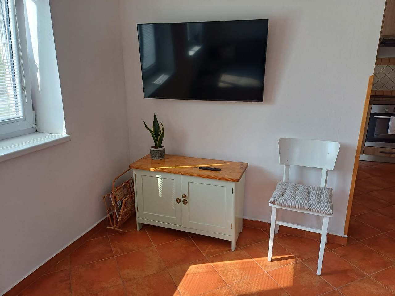Televize
