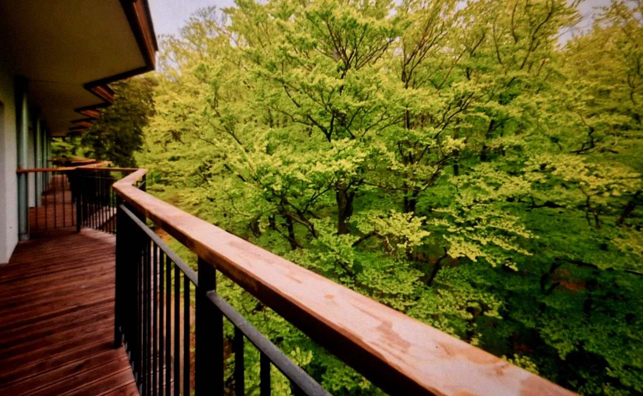 Apartmán v korunách stromů - Harrachov