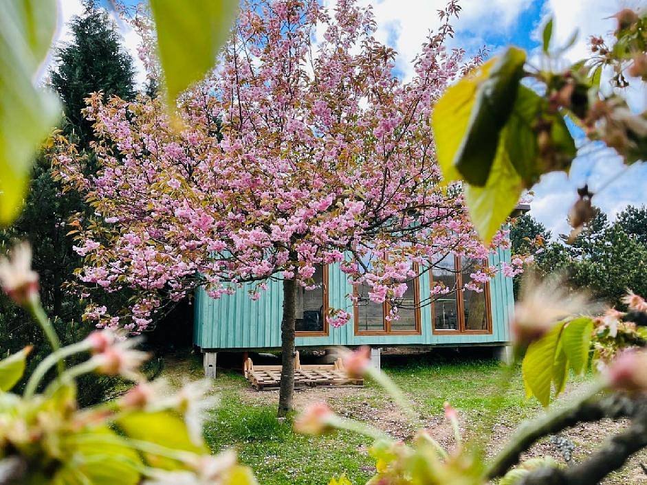 Tiny house Sakura - Panský - České stredohorie