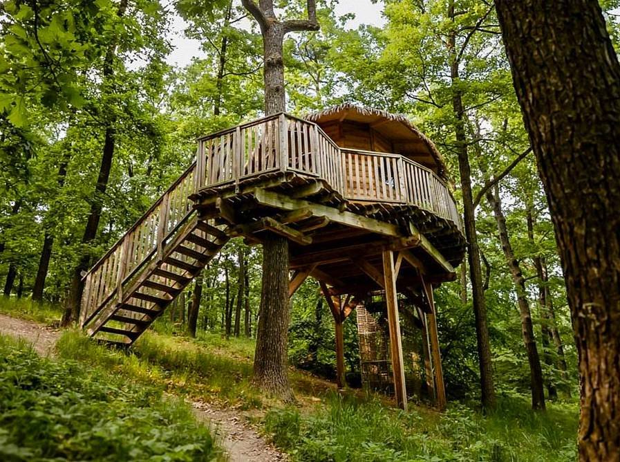 Tree housy U Mravence - Jinačovice