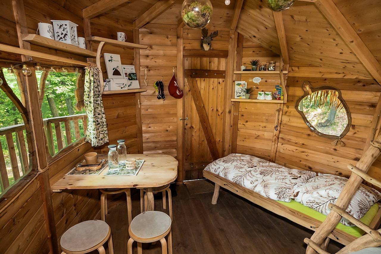 Tree house U Mravence - pohled ke dveřím