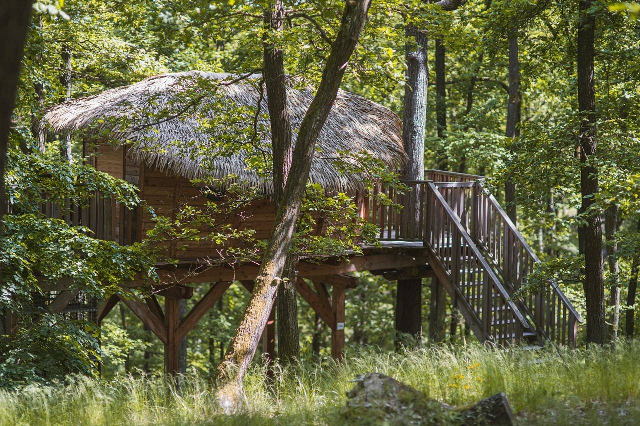 Tree house U Mravence pohled odshora - vstup