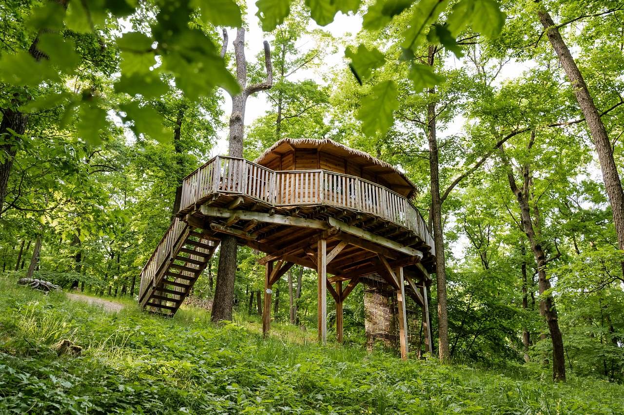 Tree house U Mravence - Jinačovice - Južná Morava
