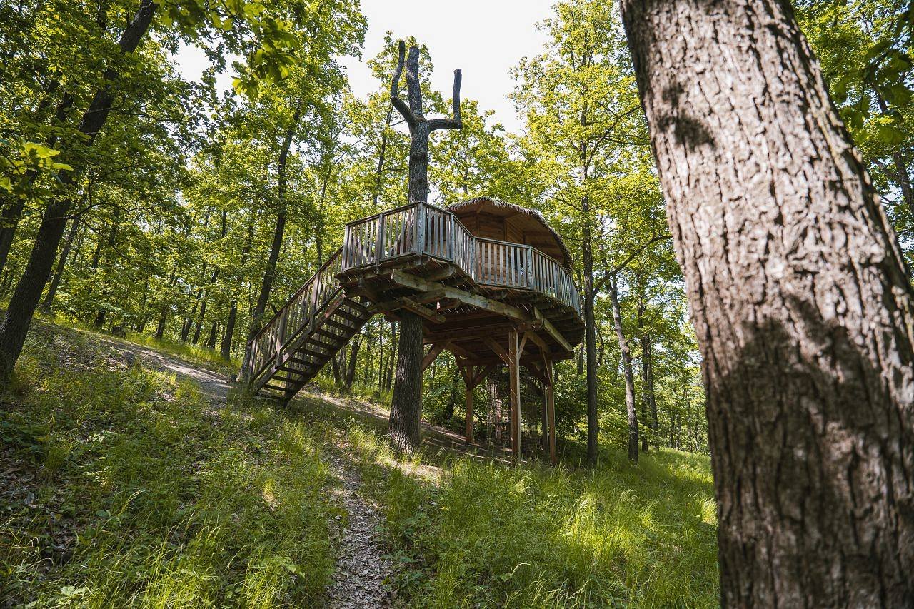Tree house U Mravence pohled odspodu