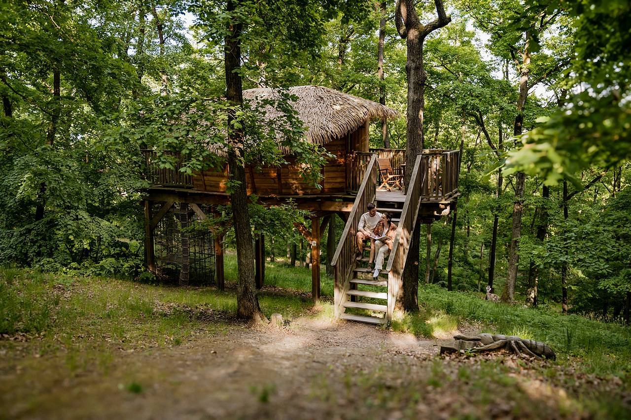 Tree house U Mravence - vstup