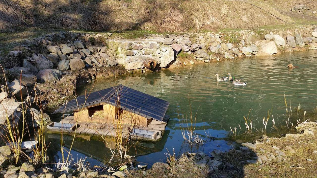 U chaty se nachází rybník, kde majitel pěstuje ryby