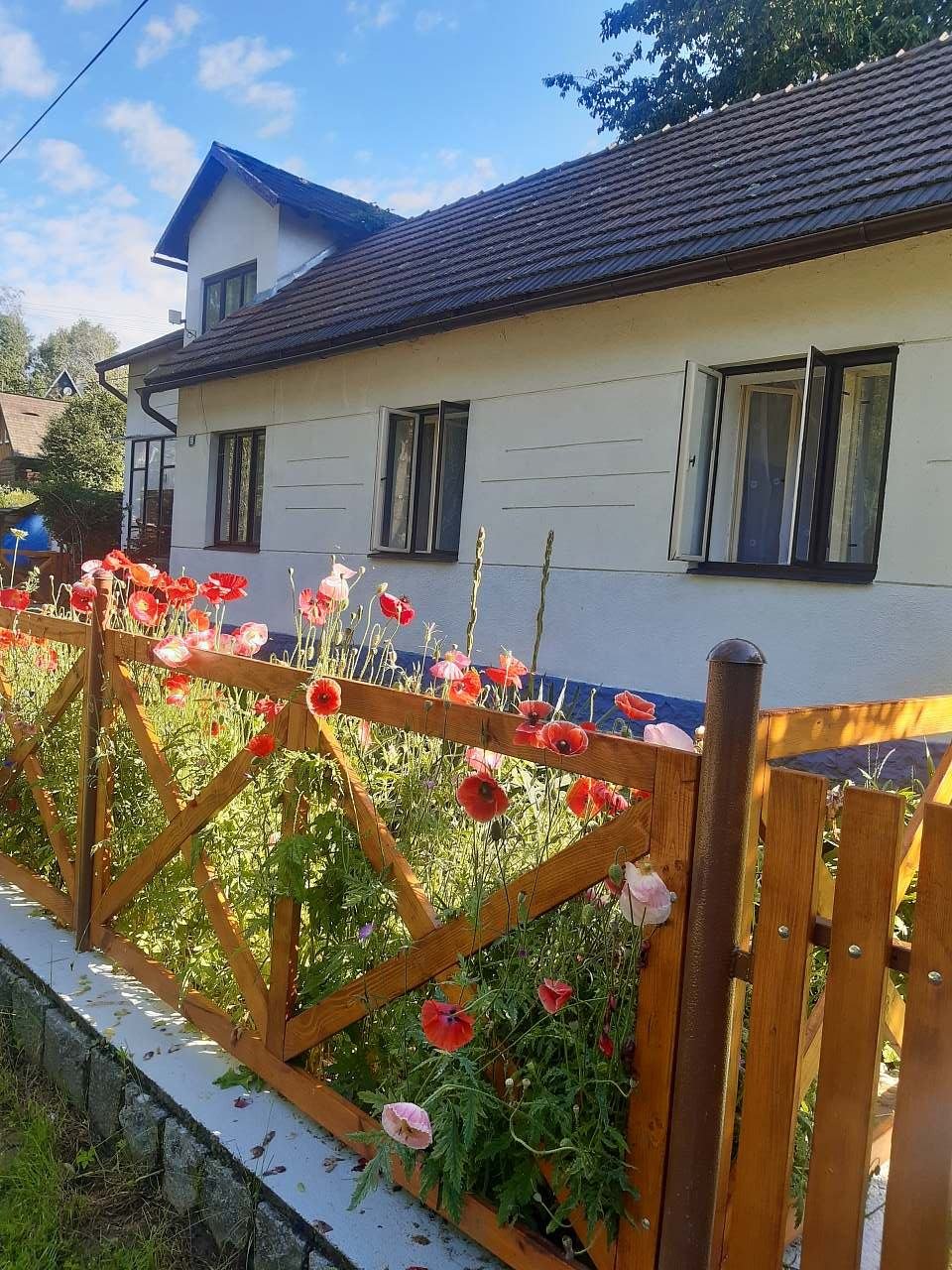 Ubytování Leštinka - máky kvetou