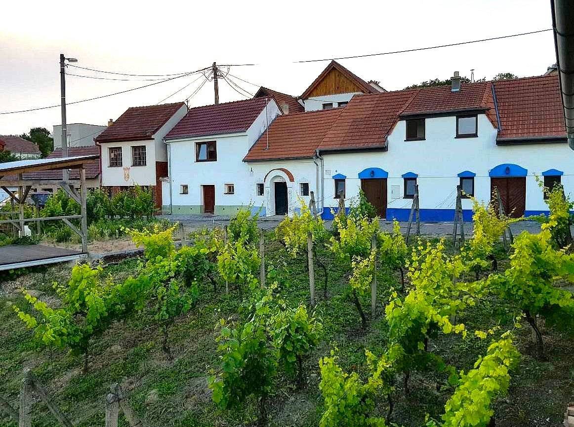 Ubytování na vinicích