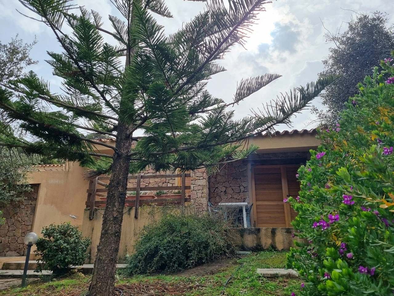 Casa Araucaria - Sardínia