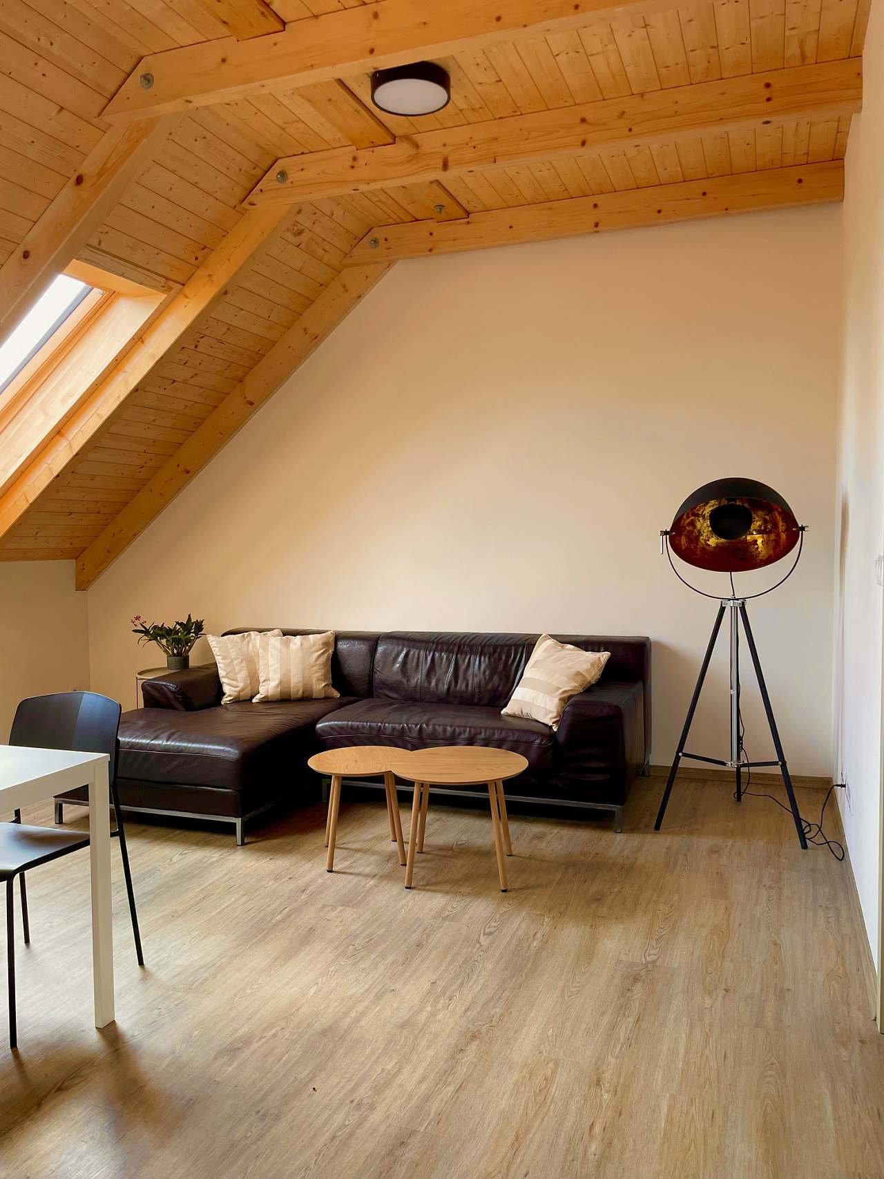 Velký apartmán - obývací pokoj s kuchyní