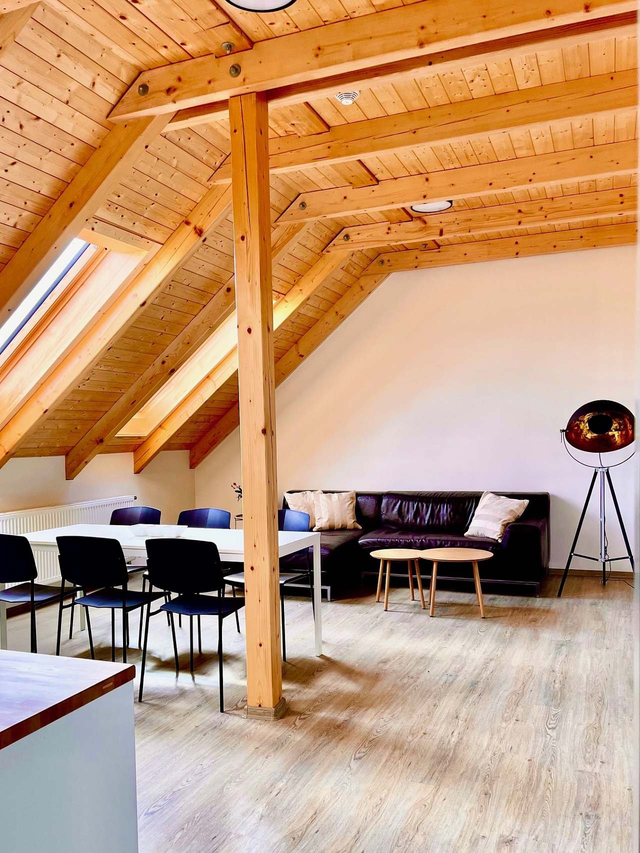 Velký apartmán - obývací pokoj s kuchyní