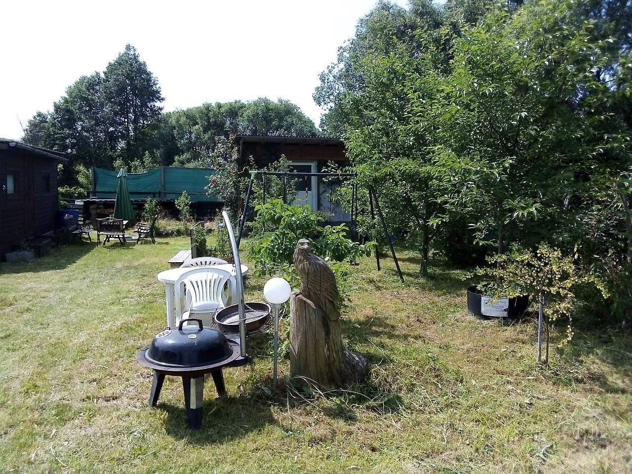 Kempík pazderna pod hrází - Suchý - Vysočina