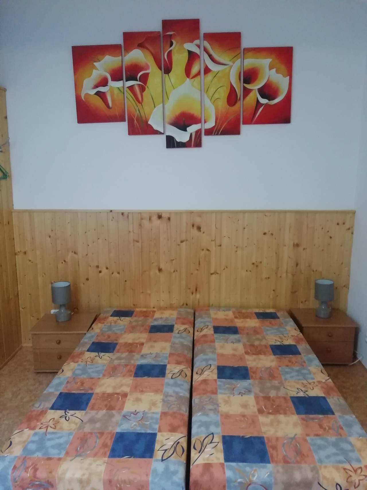 Apartmán Michaela - Hustopeče - Južná Morava