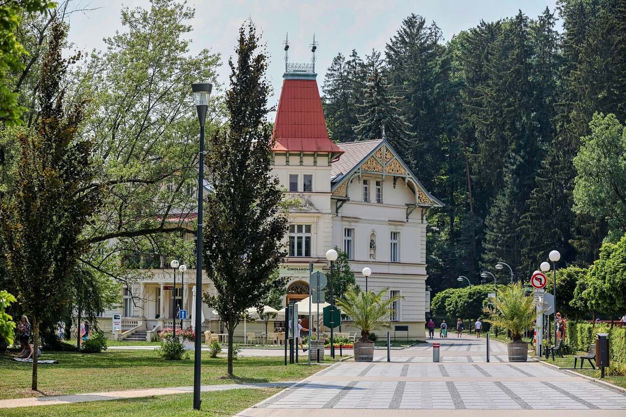 Vila Najáda - Garsonka - Luhačovice