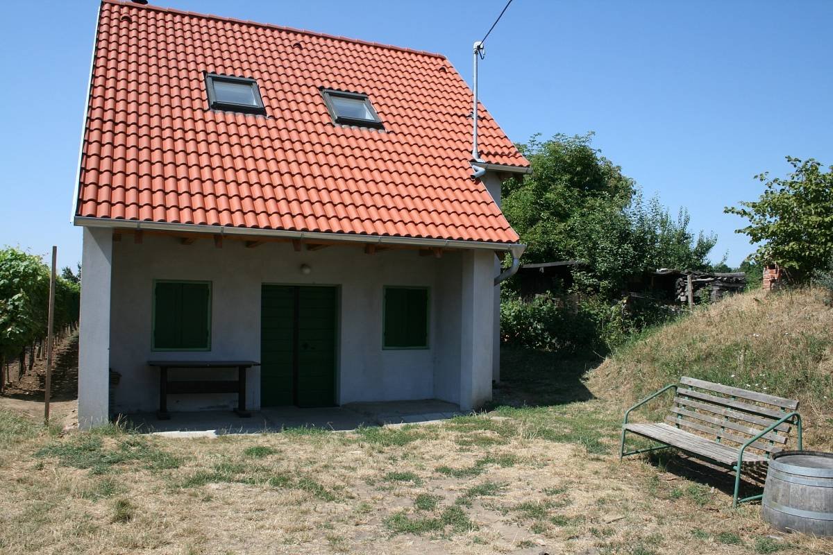Vinný sklep s ubytováním - Mikulčice
