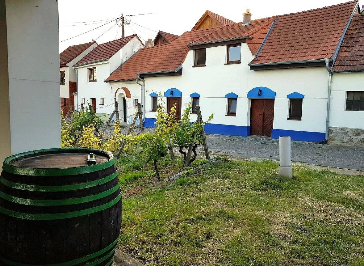Vinný sklípek s ubytovaniem - Bořetice