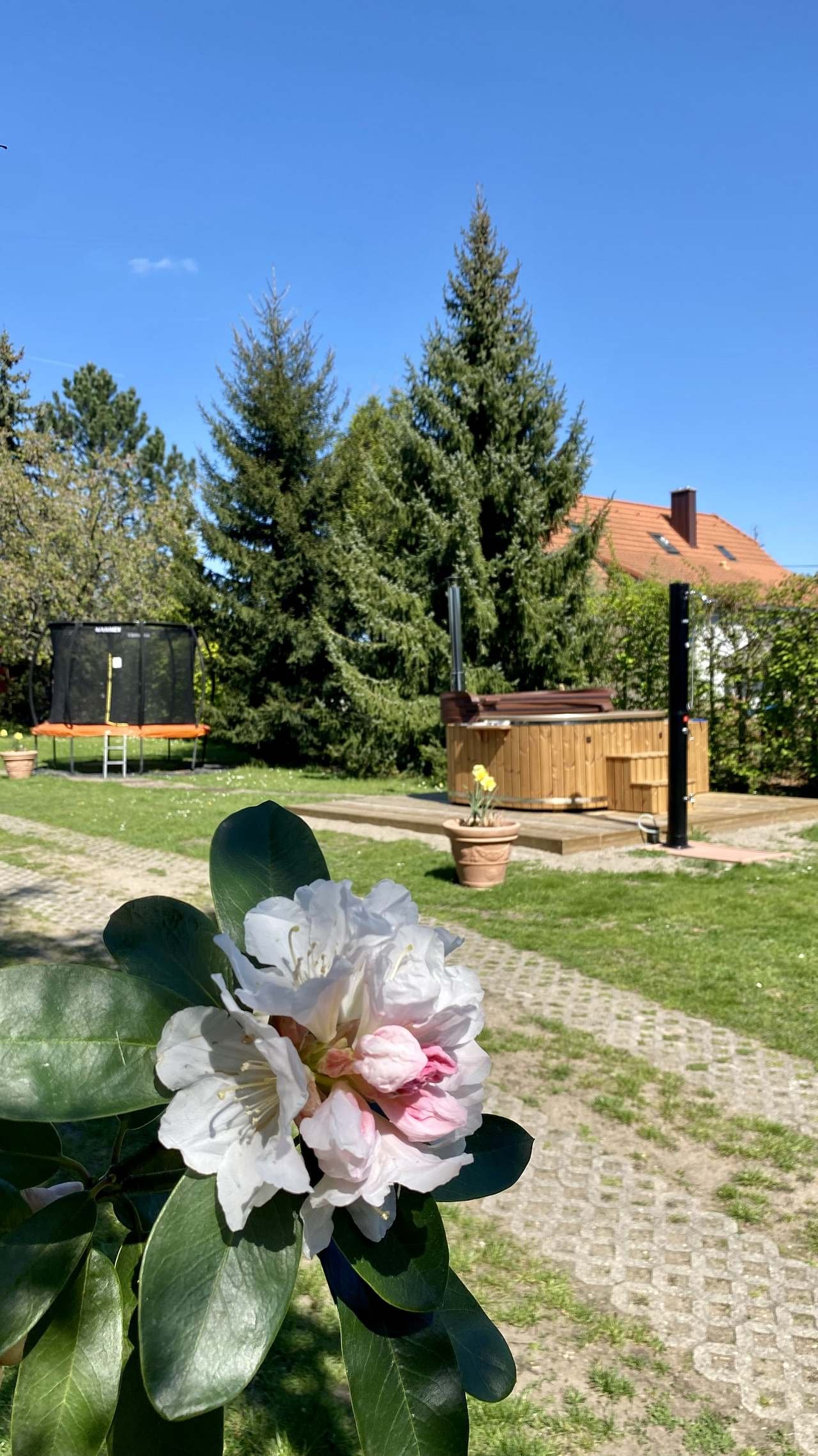 Vířiví bazén se slanou mořskou vodou s ohřevem + solární sprcha