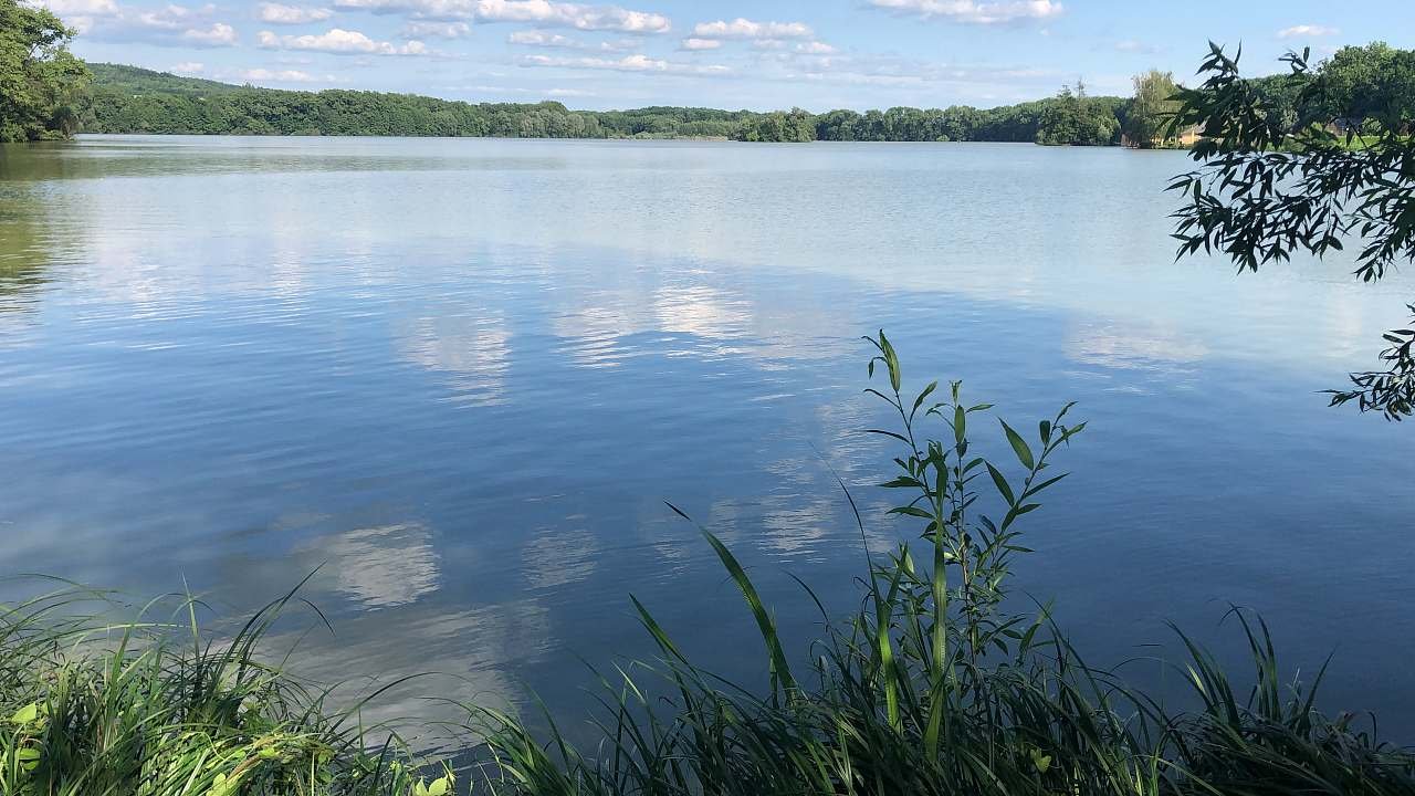 Výhled na vodní plochu Broumar