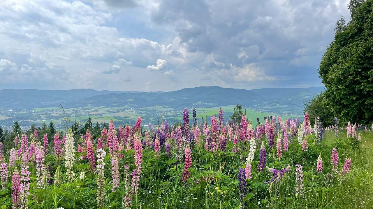 Oáza klidu v Beskydech - Hrádek - Severná Morava a Sliezsko