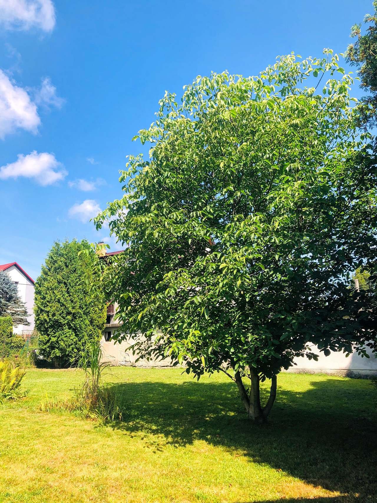 Ubytovanie Žďár nad Sázavou - Východné Čechy