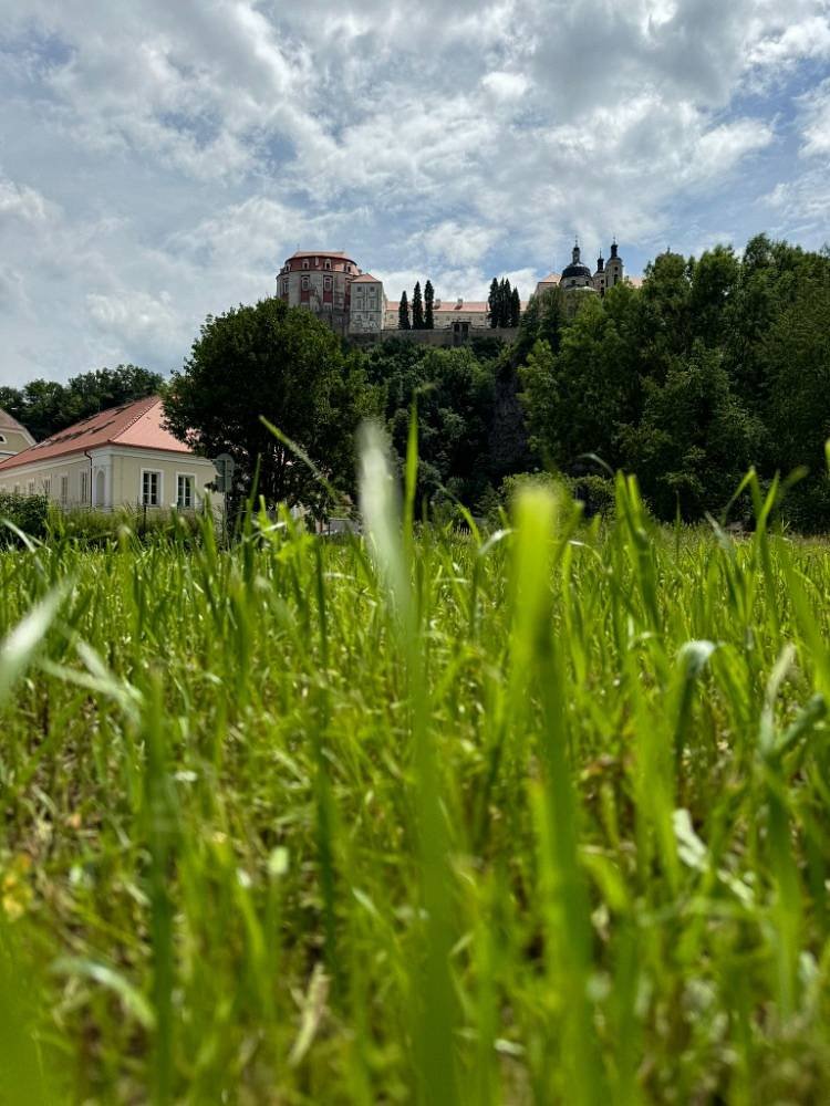 Zahrada s výhledem na Vranovský zámek - Vranov nad Dyjí - Vysočina