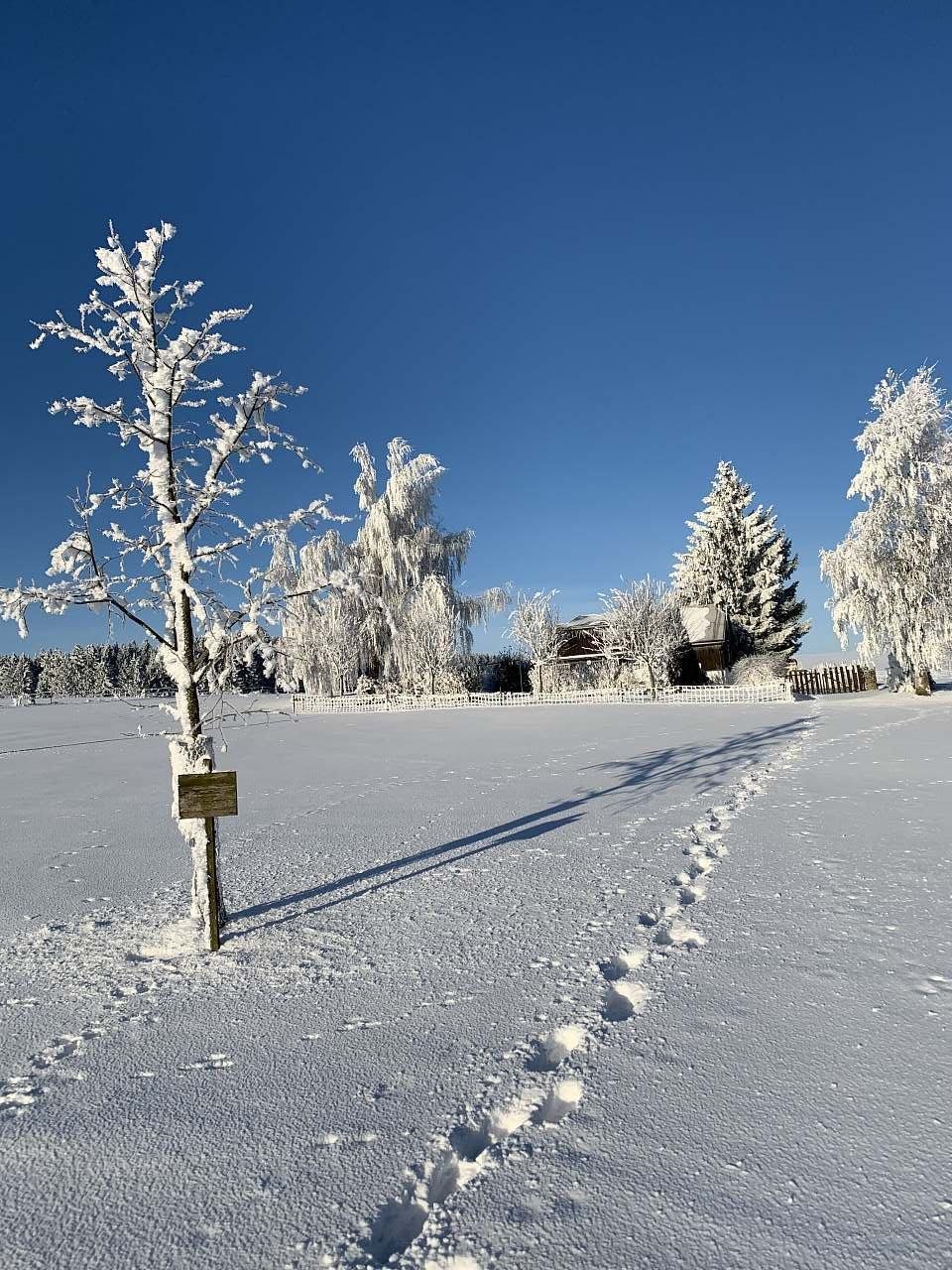 Chaloupka Na samotě - Fryšava pod Žákovou horou