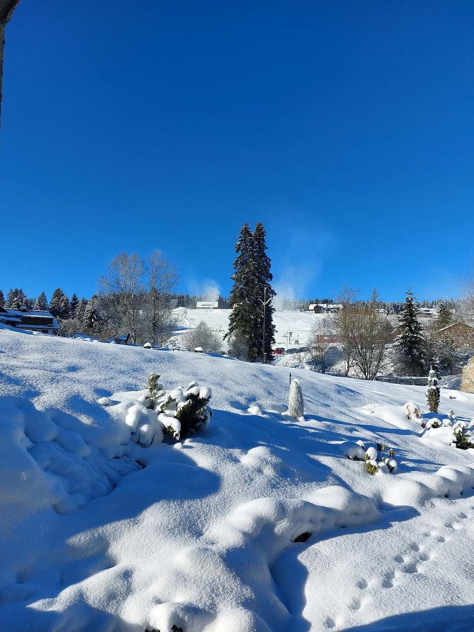 Wellness chata Rosnatka - Kvilda - Šumava